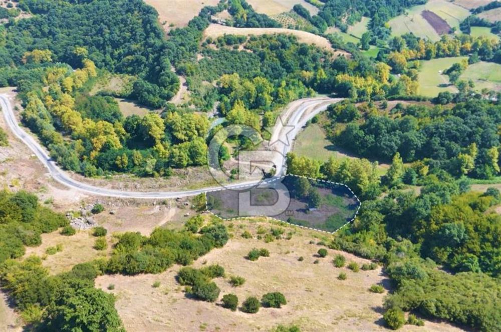 19 Mayıs Çetirlipınar'da Satılık Yol Cepheli Tarla