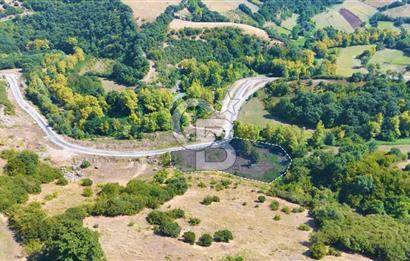 19 Mayıs Çetirlipınar'da Satılık Yol Cepheli Tarla