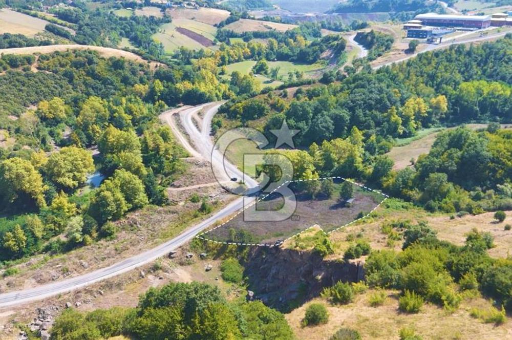 19 Mayıs Çetirlipınar'da Satılık Yol Cepheli Tarla
