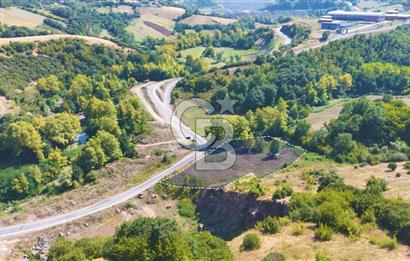 19 Mayıs Çetirlipınar'da Satılık Yol Cepheli Tarla