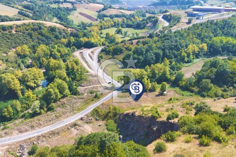 19 Mayıs Çetirlipınar'da Satılık Yol Cepheli Tarla