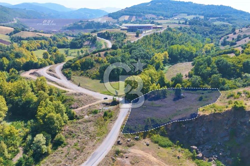 19 Mayıs Çetirlipınar'da Satılık Yol Cepheli Tarla