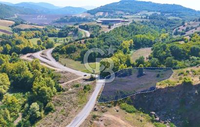 19 Mayıs Çetirlipınar'da Satılık Yol Cepheli Tarla