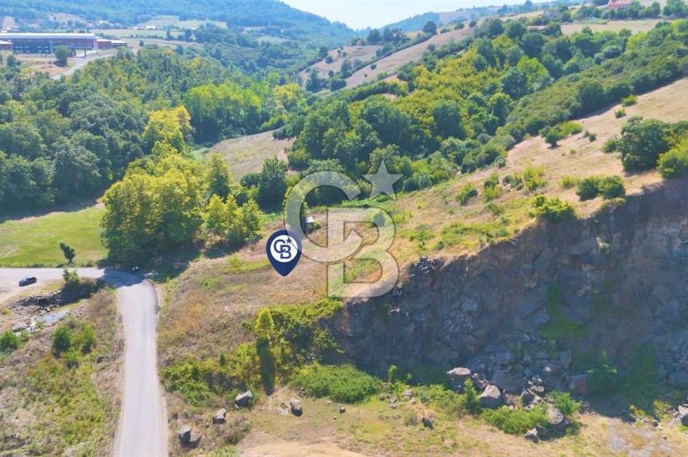 19 Mayıs Çetirlipınar'da Satılık Yol Cepheli Tarla
