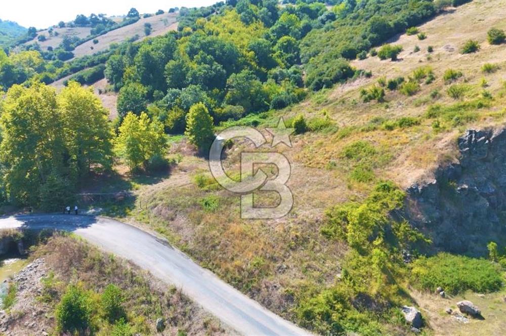 19 Mayıs Çetirlipınar'da Satılık Yol Cepheli Tarla