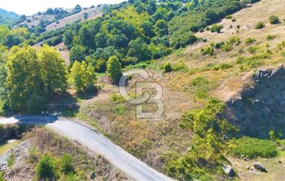 19 Mayıs Çetirlipınar'da Satılık Yol Cepheli Tarla