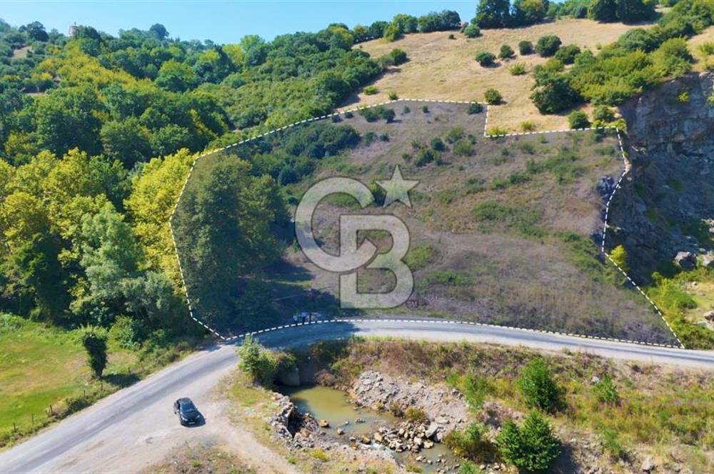 19 Mayıs Çetirlipınar'da Satılık Yol Cepheli Tarla