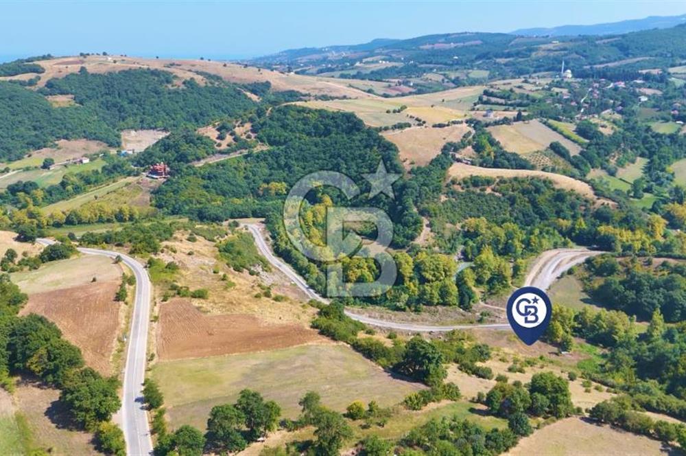 19 Mayıs Çetirlipınar'da Satılık Yol Cepheli Tarla