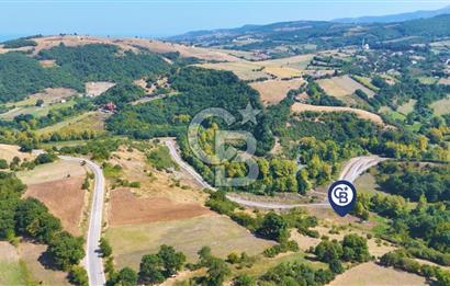 19 Mayıs Çetirlipınar'da Satılık Yol Cepheli Tarla