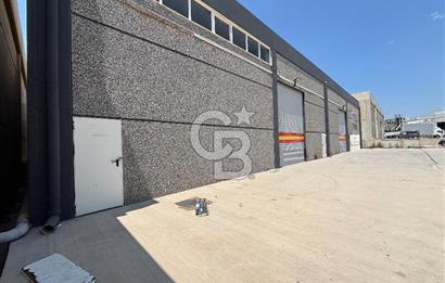 BORNOVA IŞIKKENT TE KİRALIK 550 M2 DEPO