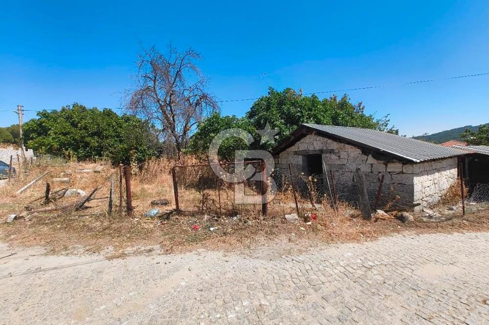 BERGAMA KOZAK YAYLASI AŞAĞICUMA I 459 m² 2 KAT İMARLI KÖŞE ARSA