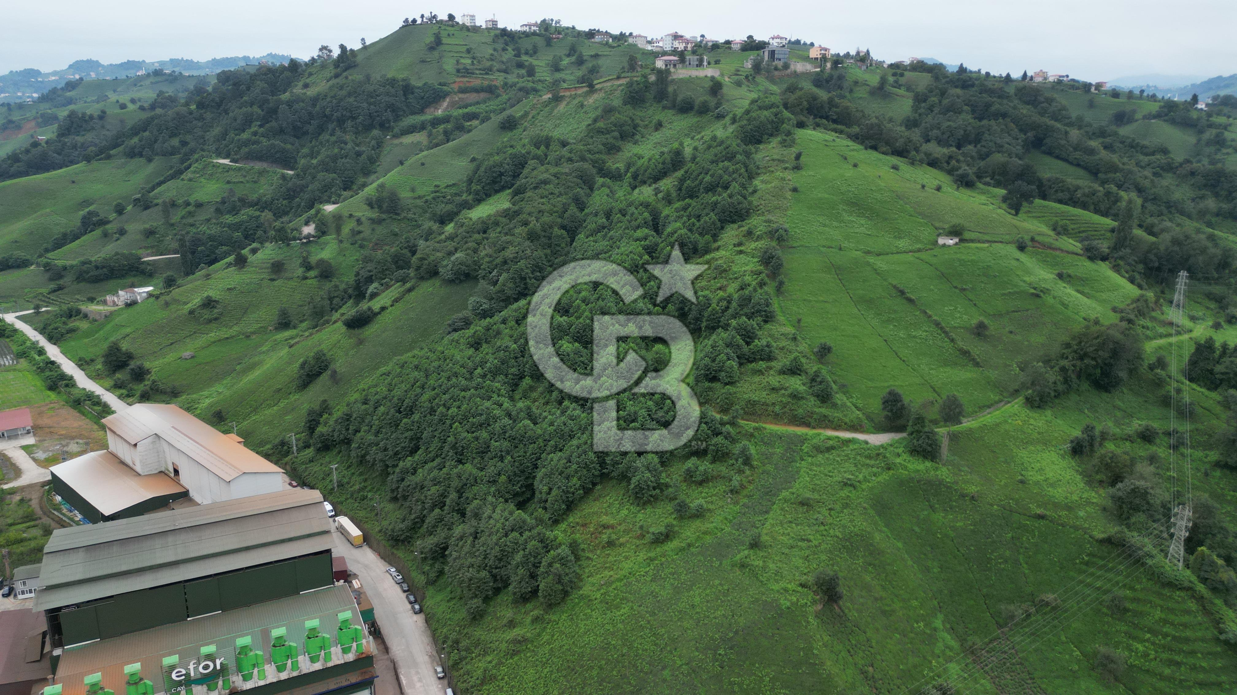 TRABZON OF ESKİPAZARDA SATILIK 5 DÖNÜM ARAZİ
