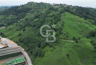 TRABZON OF ESKİPAZARDA SATILIK 5 DÖNÜM ARAZİ - 1 - 369130