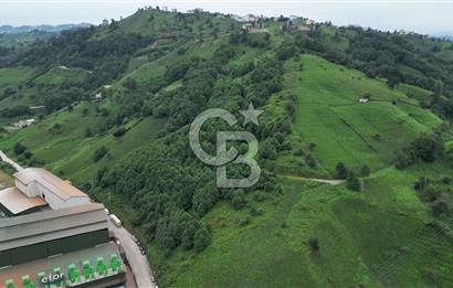 TRABZON OF ESKİPAZARDA SATILIK 5 DÖNÜM ARAZİ