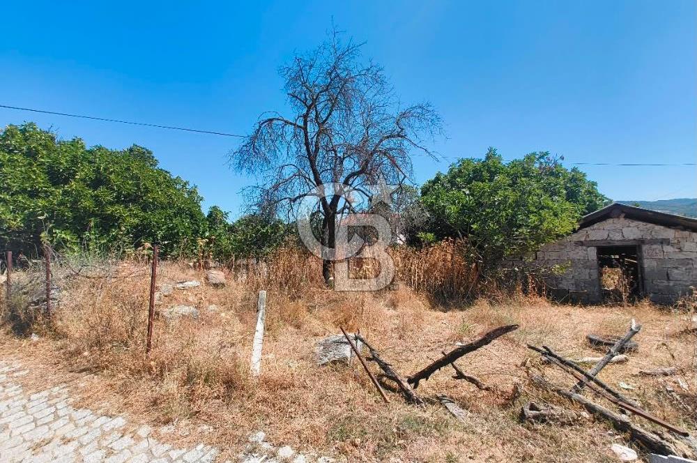 BERGAMA KOZAK YAYLASI AŞAĞICUMA I 459 m² 2 KAT İMARLI KÖŞE ARSA