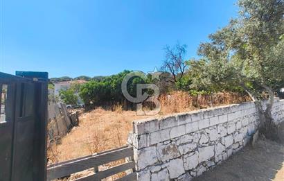 BERGAMA KOZAK YAYLASI AŞAĞICUMA I 459 m² 2 KAT İMARLI KÖŞE ARSA