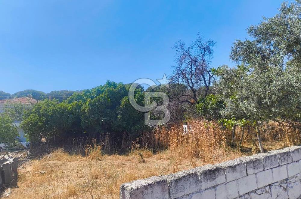 BERGAMA KOZAK YAYLASI AŞAĞICUMA I 459 m² 2 KAT İMARLI KÖŞE ARSA