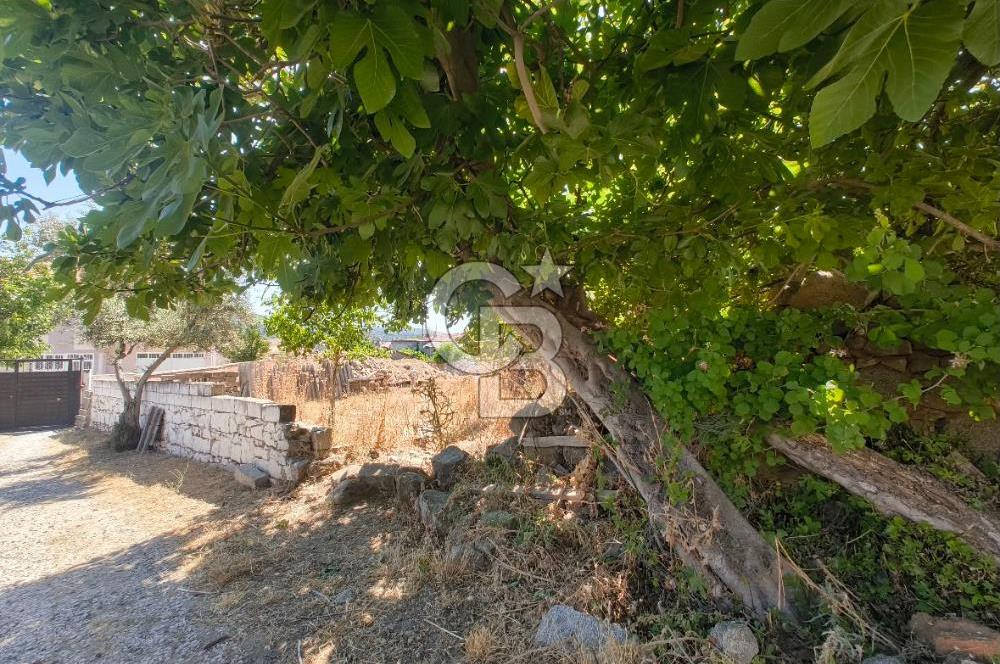 BERGAMA KOZAK YAYLASI AŞAĞICUMA I 459 m² 2 KAT İMARLI KÖŞE ARSA