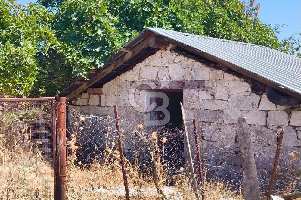 BERGAMA KOZAK YAYLASI AŞAĞICUMA I 459 m² 2 KAT İMARLI KÖŞE ARSA