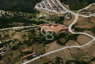 Denizli Merkezefendi Yeşilyayla Anayola Cephe Satılık Arazi - 5 - 369145