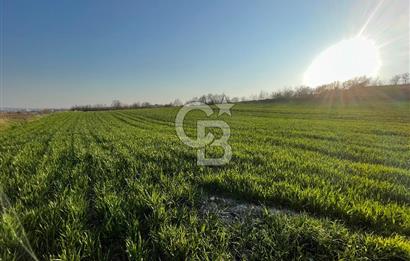 Arnavutköy Baklalı’da İstanbul Havalimanı’na Yakın 18. Madde Uygulaması Sürecinde Satılık Tarla