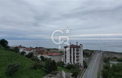 TRABZON OF ESKİPAZARDA SATILIK 5 DÖNÜM ARAZİ
