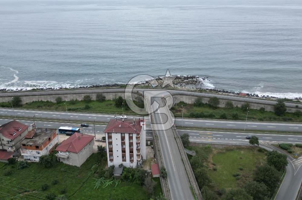 TRABZON OF ESKİPAZARDA SATILIK 5 DÖNÜM ARAZİ