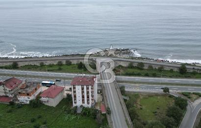 TRABZON OF ESKİPAZARDA SATILIK 5 DÖNÜM ARAZİ