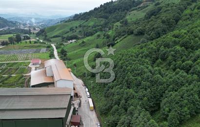 TRABZON OF ESKİPAZARDA SATILIK 5 DÖNÜM ARAZİ