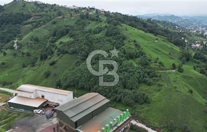 TRABZON OF ESKİPAZARDA SATILIK 5 DÖNÜM ARAZİ