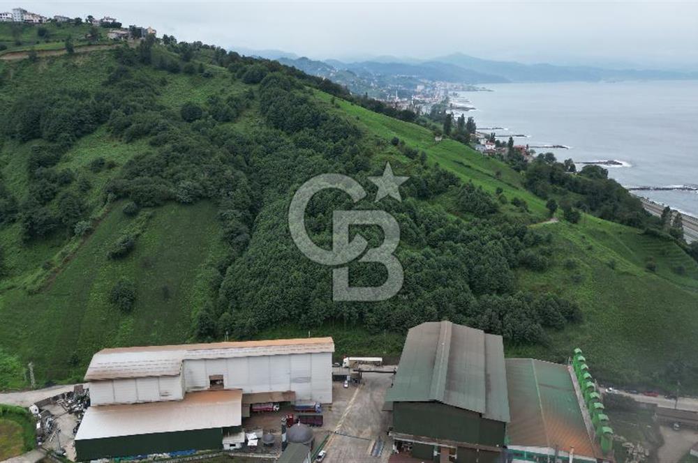 TRABZON OF ESKİPAZARDA SATILIK 5 DÖNÜM ARAZİ