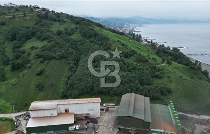TRABZON OF ESKİPAZARDA SATILIK 5 DÖNÜM ARAZİ