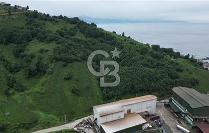 TRABZON OF ESKİPAZARDA SATILIK 5 DÖNÜM ARAZİ