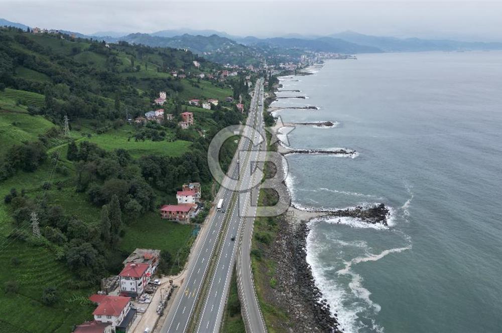 TRABZON OF ESKİPAZARDA SATILIK 5 DÖNÜM ARAZİ