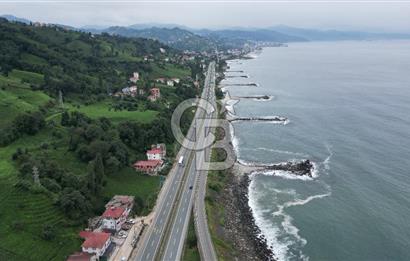 TRABZON OF ESKİPAZARDA SATILIK 5 DÖNÜM ARAZİ