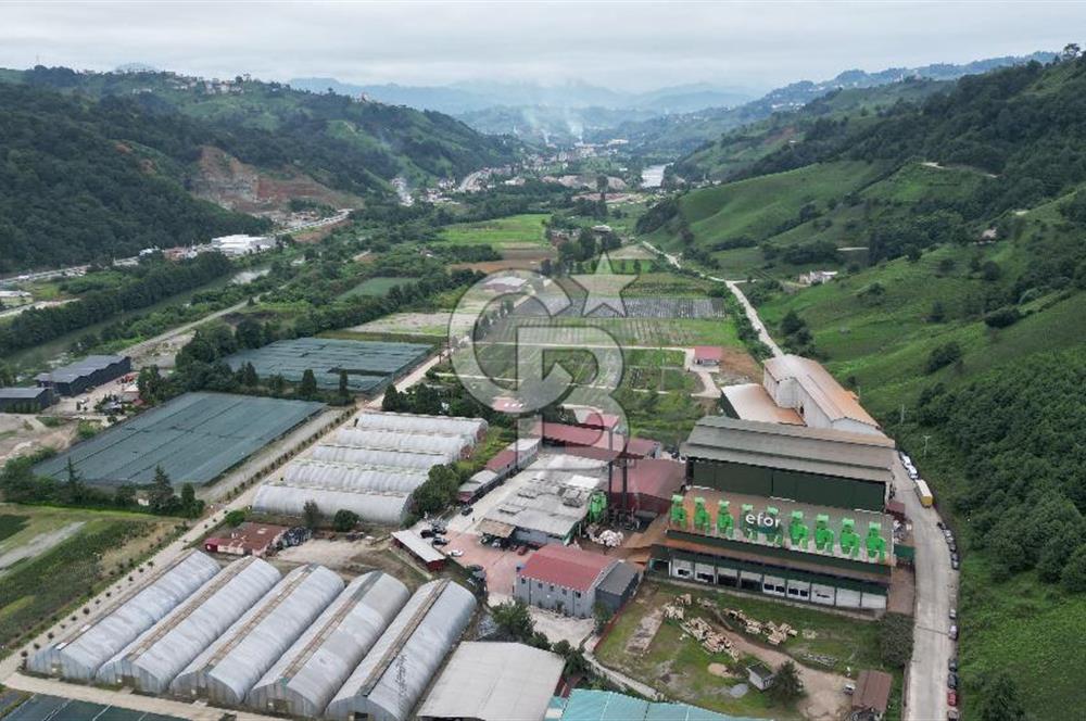 TRABZON OF ESKİPAZARDA SATILIK 5 DÖNÜM ARAZİ