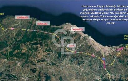 Trilye Halilbey Mahallesi İmara Yakın Zeytinlik