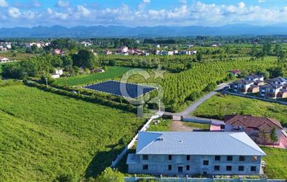 Termede FIRSAT ARSA