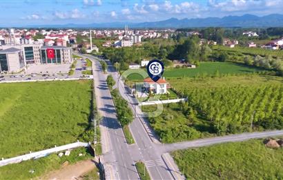 Termede FIRSAT ARSA