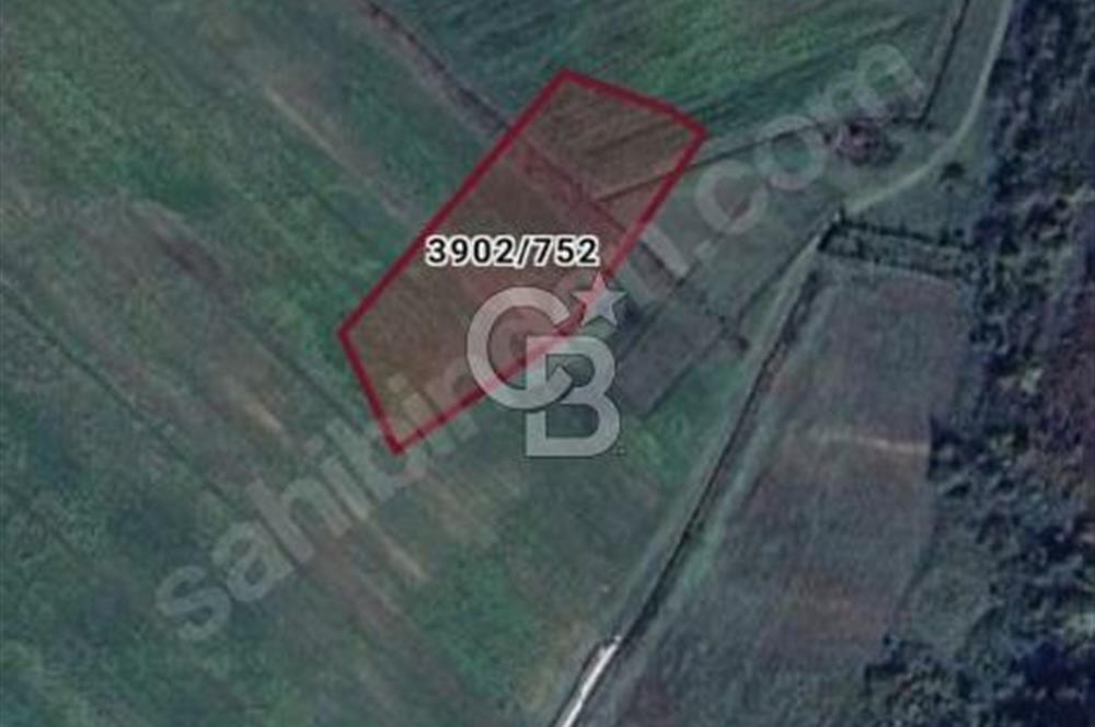 Bucaklıda satılık arsa