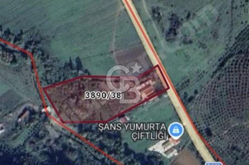 Bacaklı arsa