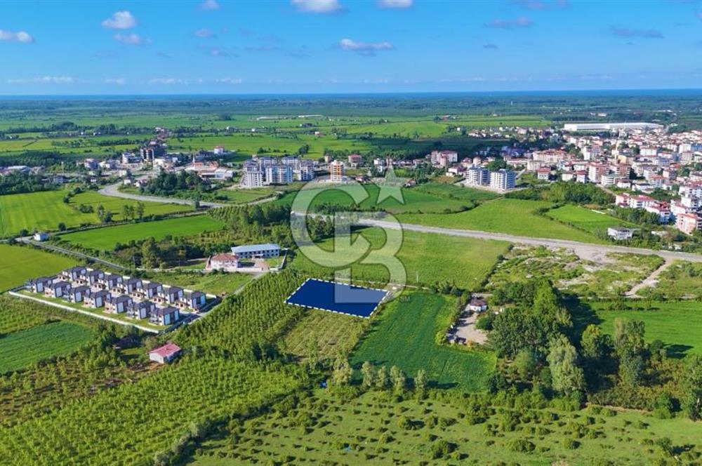 Termede FIRSAT ARSA