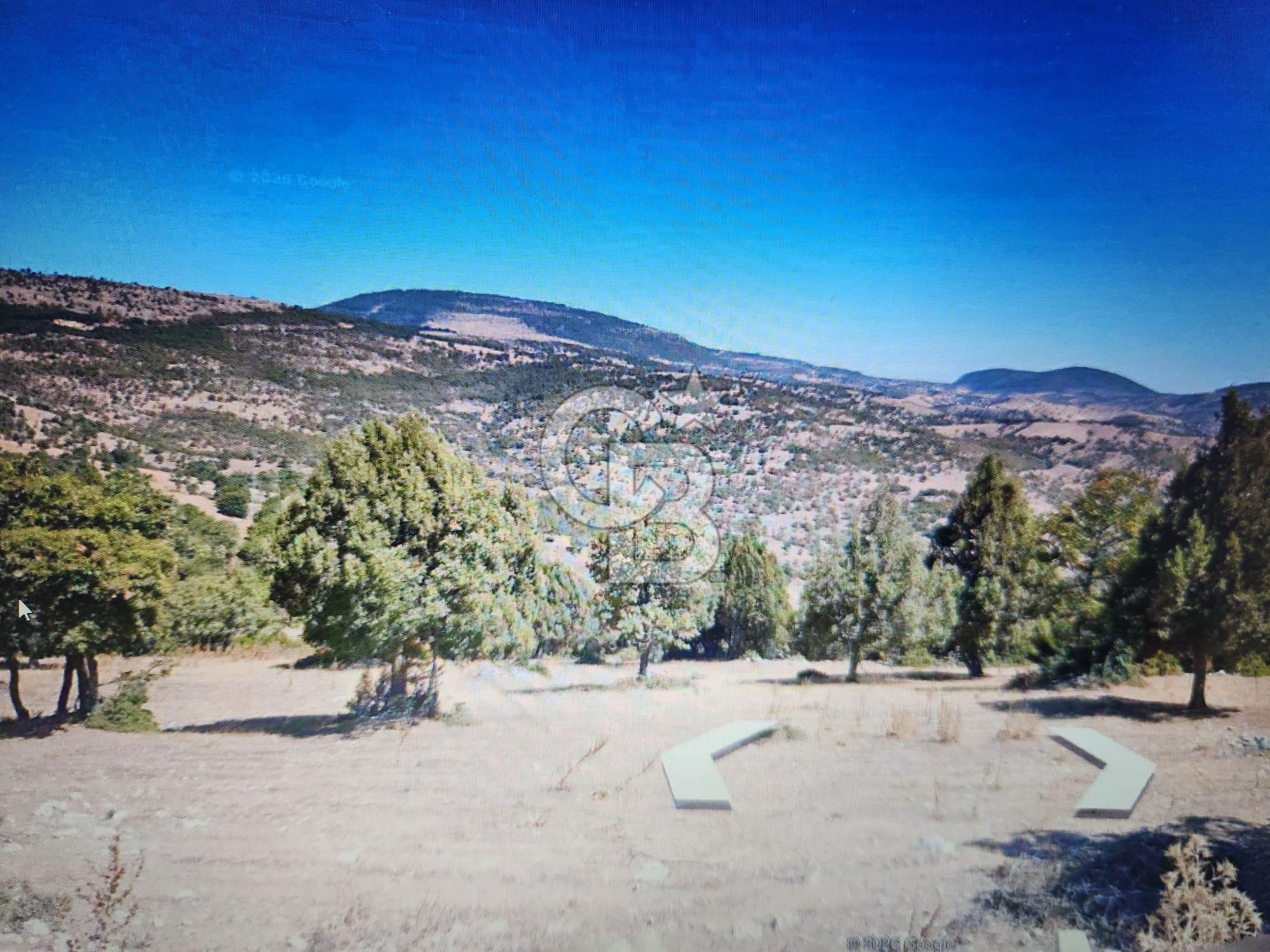 UŞAK EŞME DERVİŞLİDE SATILIK 20.000 M2 TARLA
