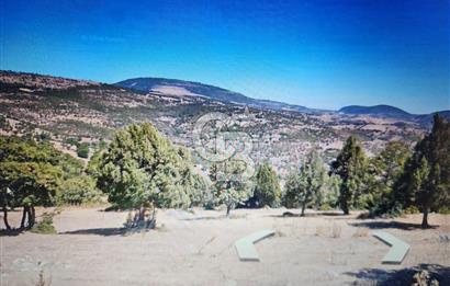 UŞAK EŞME DERVİŞLİDE SATILIK 20.000 M2 TARLA