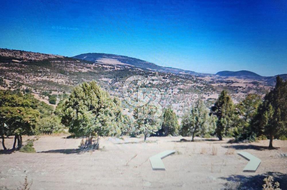UŞAK EŞME DERVİŞLİDE SATILIK 20.000 M2 TARLA