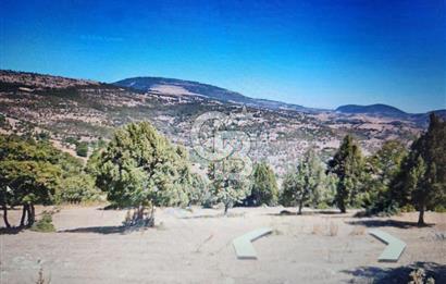 UŞAK EŞME DERVİŞLİDE SATILIK 20.000 M2 TARLA