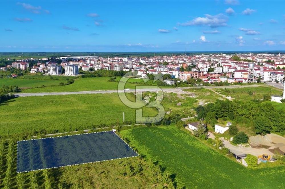 Termede FIRSAT ARSA