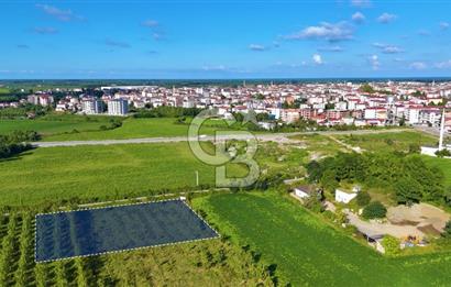 Termede FIRSAT ARSA