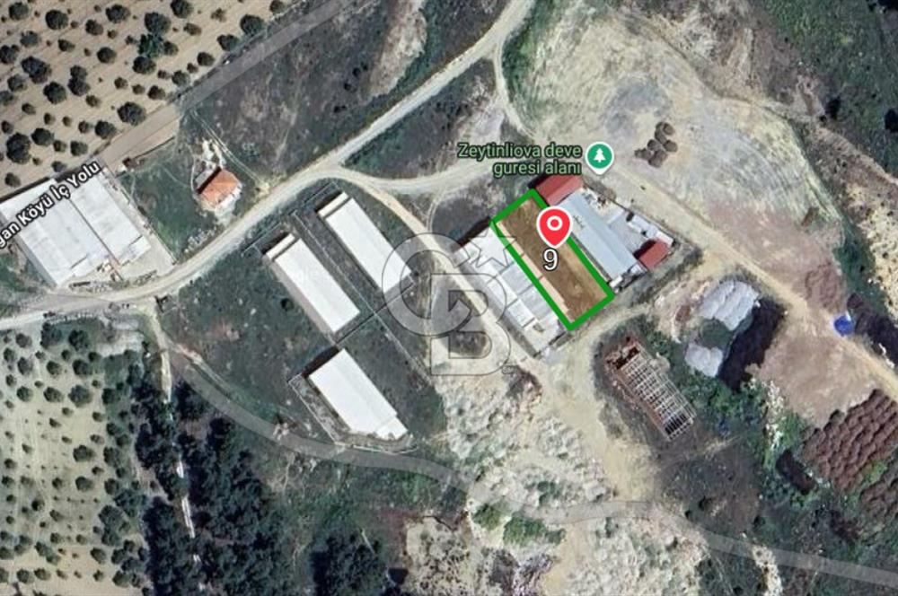 Akhisar Zeytinliova da Satılık  Fabrika Arazisi