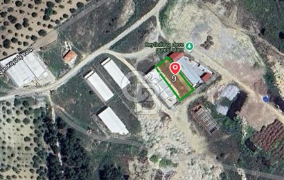 Akhisar Zeytinliova da Satılık  Fabrika Arazisi